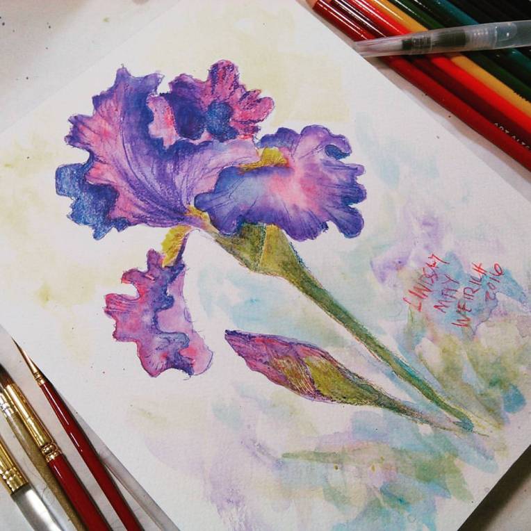 Iris in Watercolor Pencil Tutorial! – The Frugal Crafter Blog